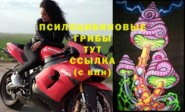 бошки Армянск