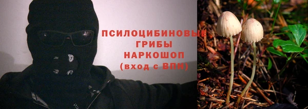 МДПВ Аркадак