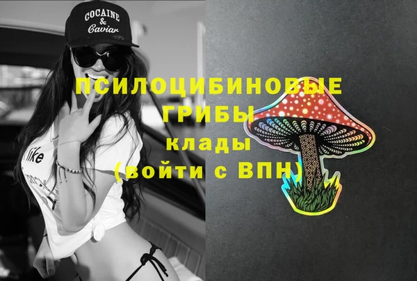 соль курить ск Арсеньев