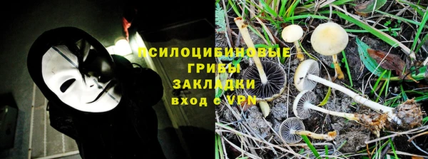 соль курить ск Арсеньев