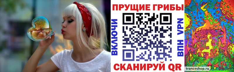 Псилоцибиновые грибы прущие грибы  магазин продажи   Калач 