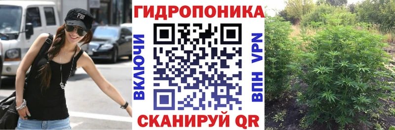 Бошки Шишки планчик  дарк нет наркотические препараты  Калач 